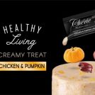 Chicken & Pumpkin
