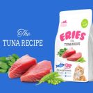 Tuna Recipe