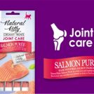 Joint Care - Salmon Puree